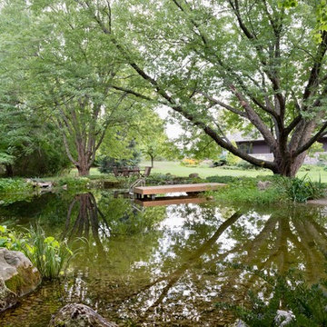 Woodland Falls