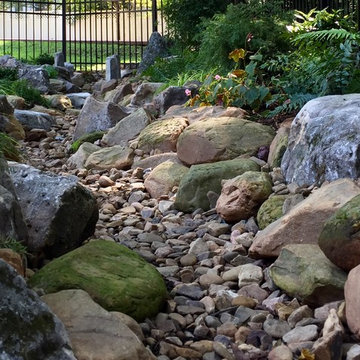 Davidson creek bed