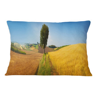 https://st.hzcdn.com/fimgs/974195de0c1bd414_4005-w320-h320-b1-p10--farmhouse-decorative-pillows.jpg