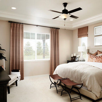 Arlington model home in Colorado