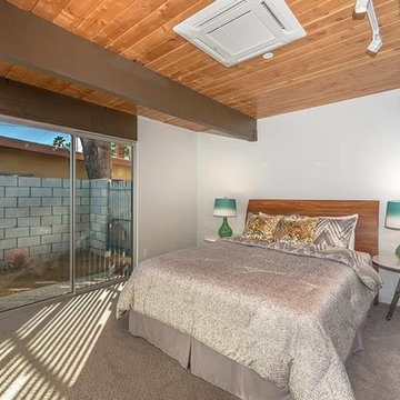 Desert Eichler #2