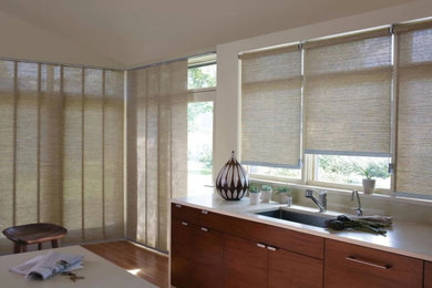 Roller and Solar Shades