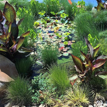 Lush plants in the RZ