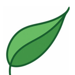 The Little Leaf Company