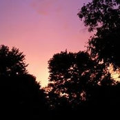 Rene' Curlee's photo