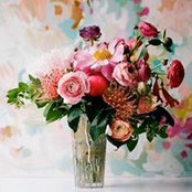 Ivy Chens foto