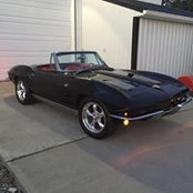 Steve Butcher's photo
