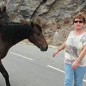 Josée Delrieu's photo