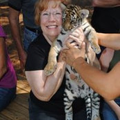 Karen Herriott's photo
