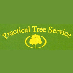 Practical Tree Service