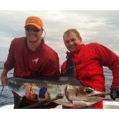 Frank Kendrick's photo