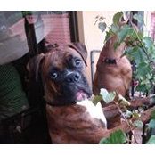 Angela Arango's photo