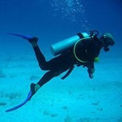 Marina Bradey's photo