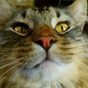 Karen Johnson's photo