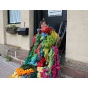 Deanne Fitzpatrick's photo
