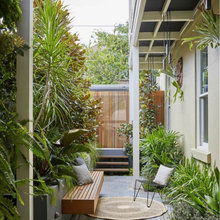 backyard - outdoor