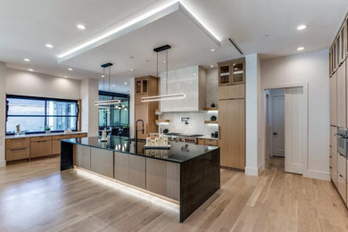 Kitchen - huge contemporary kitchen idea in Houston