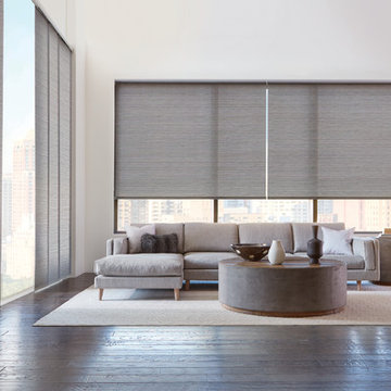 Hunter Douglas Designer ScreenShades