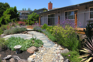 Design ideas for a large modern backyard full sun garden for summer in San Francisco with a garden path.