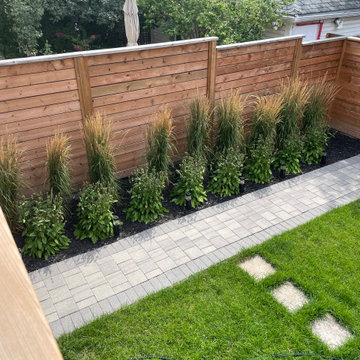 Planting grasses and some other perennial