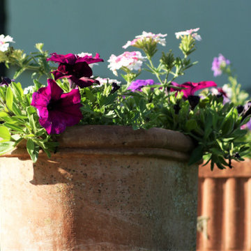 Simple summer containers