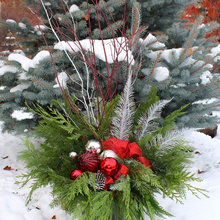 denise_godtel's ideas