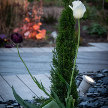 Rénovation complète jardin