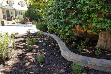 Design ideas for a transitional landscaping in San Francisco.
