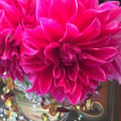 Lisa Lemay-Clark's photo