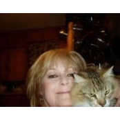 Jill Maxwell's photo