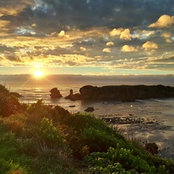 Lachy Field's photo