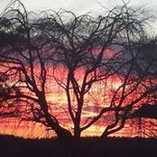 Tami Baumbaugh's photo