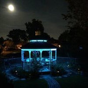 Lisa McWhorter's photo