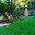 Aesthetic Gardens