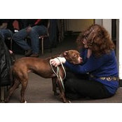 Mindy Bekritsky's photo
