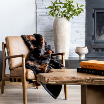 Interior Remodel