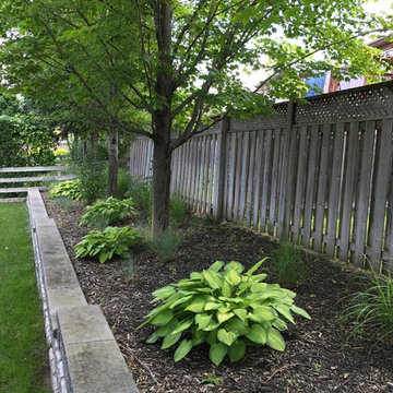 BEFORE - Raised Garden Under Maple Trees