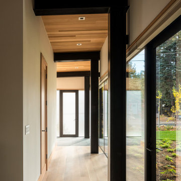 Arboreal House
