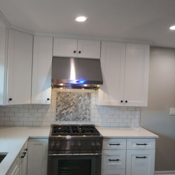 Mount Prospect Kitchen