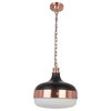 1-Light Round Pendant Light with Diffuser