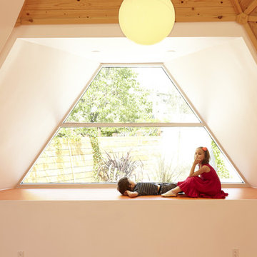 The Dome