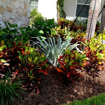 Bromeliad & Croton Planting in Vero Beach