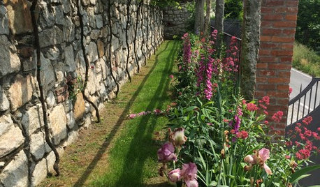 Giardino a Bassa Manutenzione + Ecostostenibile: Si Può Fare?