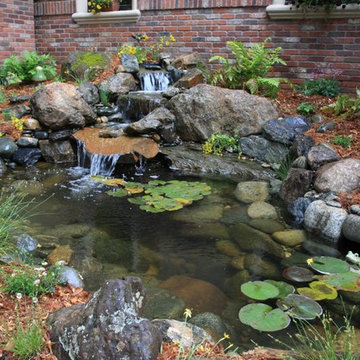 Water Features