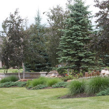 Landscape Ideas