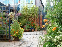 Ideas for a small concrete garden | Houzz UK