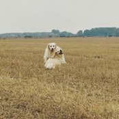 Pippa Nilson's photo