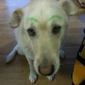 Melissa Leffert's photo