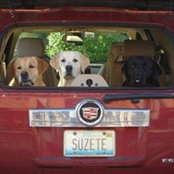 Foto von Suzanne Dunn