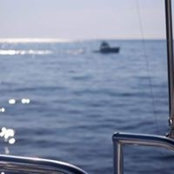 Chris Mcleod's photo